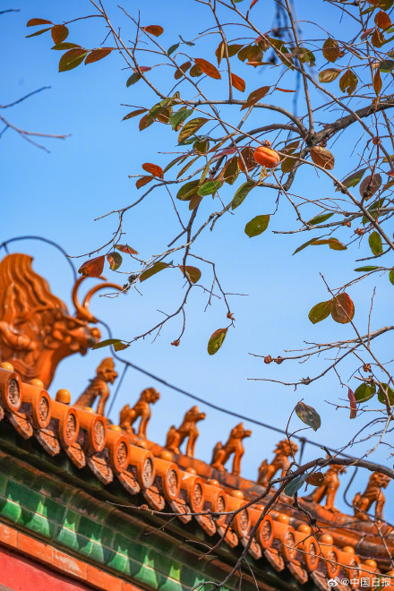 秋日故宫的色彩美学堪称一绝