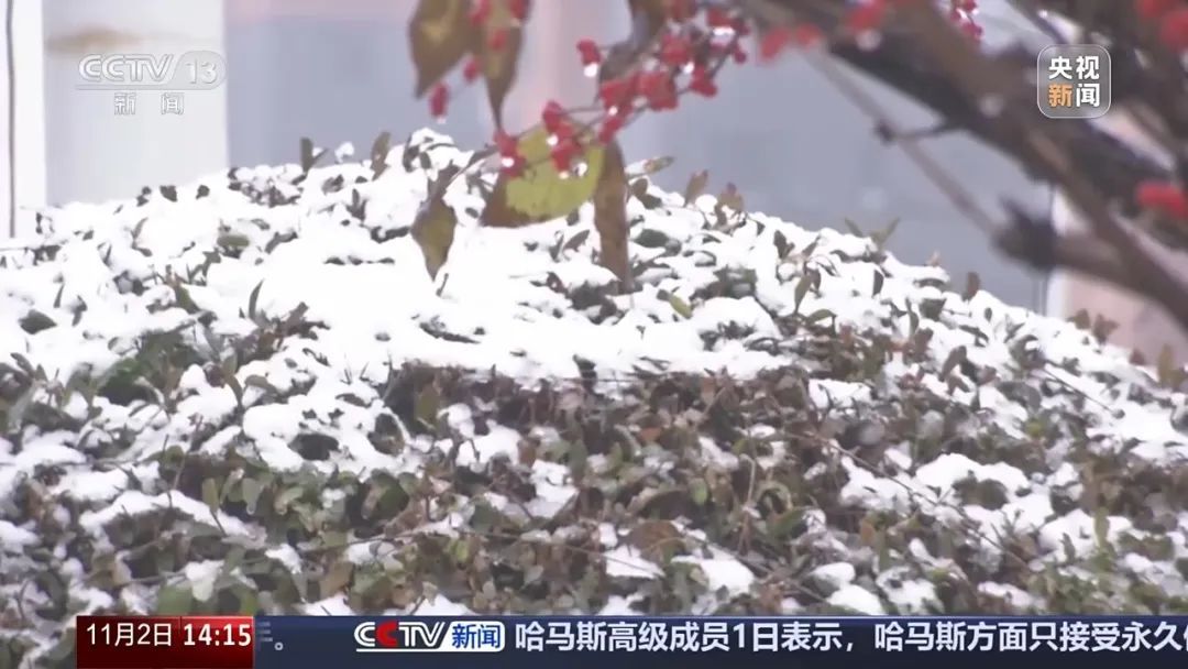 强冷空气到！四川降温降雨要来了！今年是暖冬还是冷冬？最新研判→