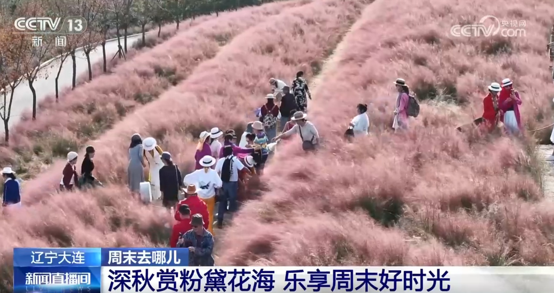 “自然生态+文旅赋能”激发消费活力 小村落特色振兴路展现蓬勃生机 “自然生态+文旅赋能”激发消费活力 小村落特色振兴路展现蓬勃生机