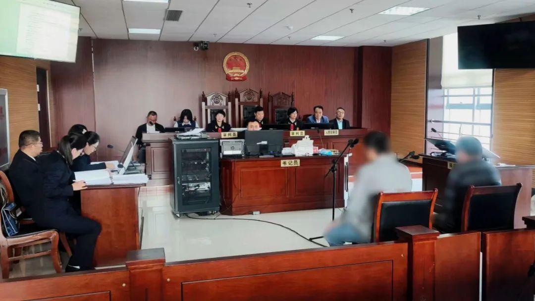 拉网捕鸟,反成“笼中鸟”!山东蒙阴法院公开审理一起刑事附带民事公益诉讼案件 拉网捕鸟,反成“笼中鸟”!山东蒙阴法院公开审理一起刑事附带民事公益诉讼案件