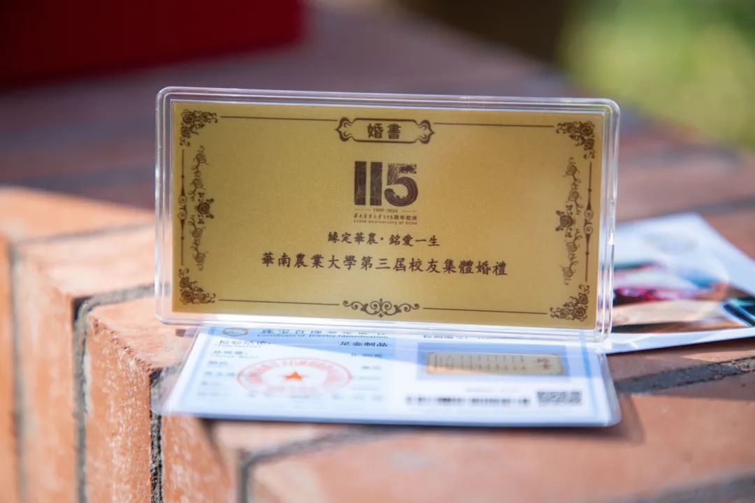 黄金婚书、交杯酸奶……高校校庆，52对新人的婚礼好甜！