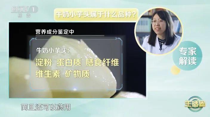 主食中“加”点它，体重轻了，血糖、血脂、免疫力都受益