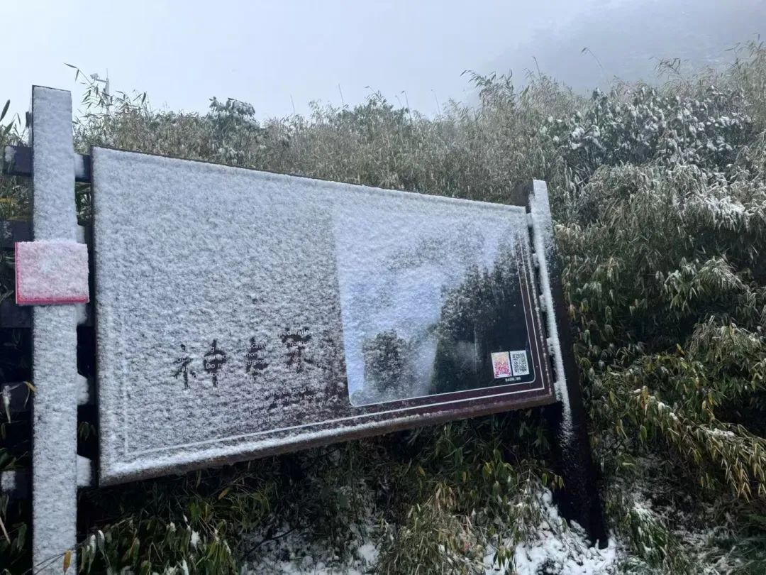 跌破10℃！今天开始影响浙江！新台风“银杏”已生成……
