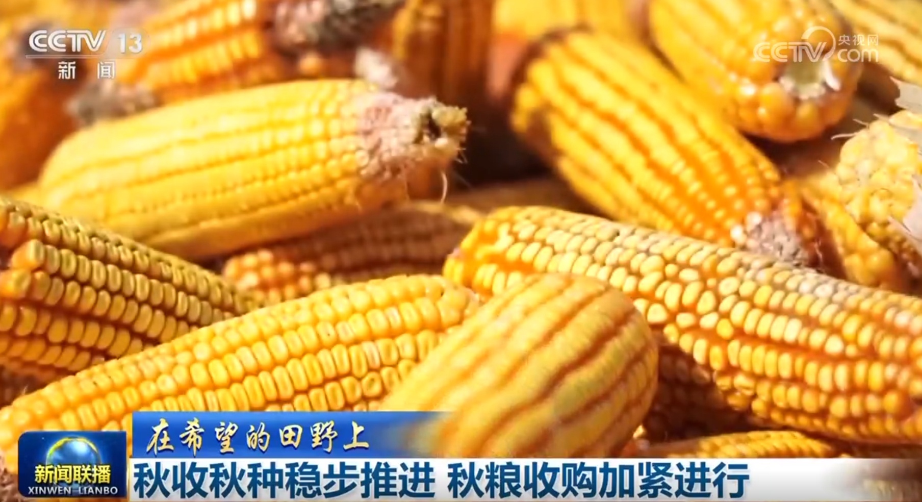 千行百业“脉动”新活力 中国经济持续暖起来、好起来