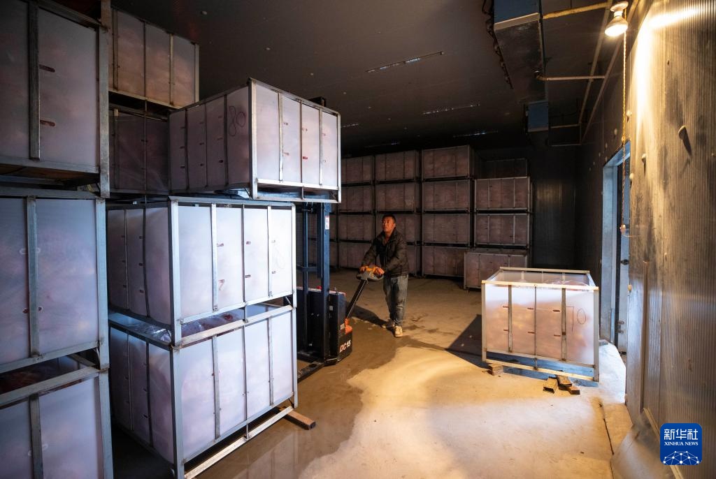 宁夏红寺堡:苹果产业助力乡村振兴 宁夏红寺堡:苹果产业助力乡村振兴