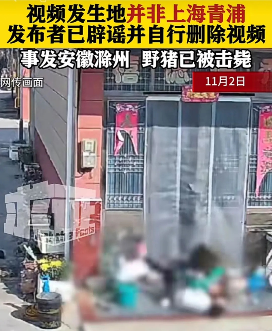 上海郊区野猪攻击人？最新：已被特警击毙，事发地并非上海