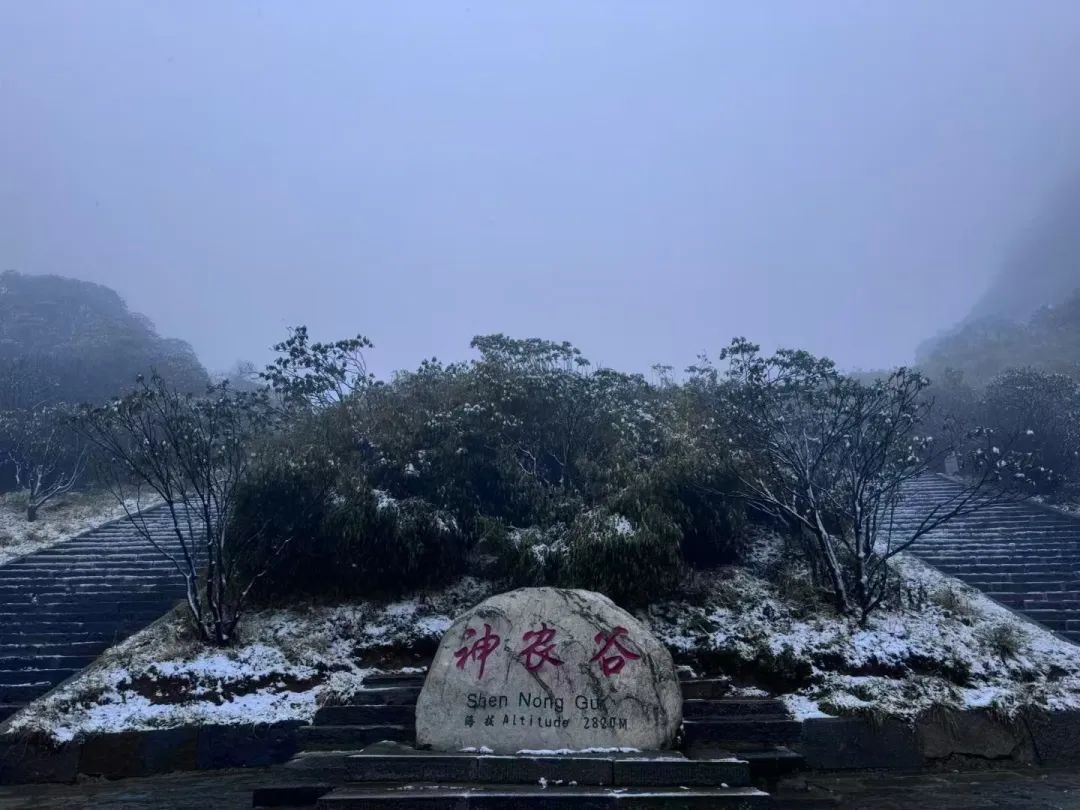 跌破10℃！今天开始影响浙江！新台风“银杏”已生成……