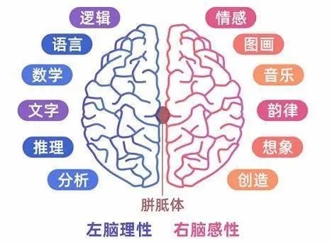蝌学荐书 | 为什么娱乐圈的女明星都开始直播学习了...... 蝌学荐书 | 为什么娱乐圈的女明星都开始直播学习了......