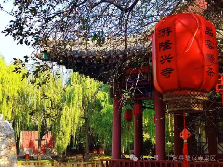 叶黄成“瀑”！当古寺遇上秋色，惊艳了时光