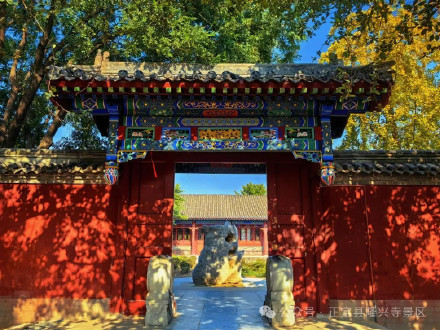 叶黄成“瀑”！当古寺遇上秋色，惊艳了时光