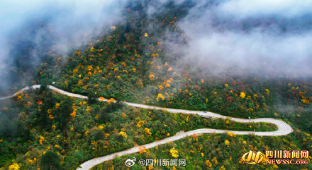 如诗如画！峨眉山彩林迎来最佳观赏期