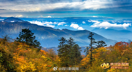 如诗如画！峨眉山彩林迎来最佳观赏期