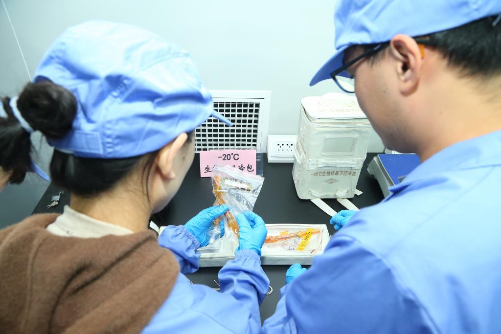 中国空间站第七批空间科学实验样品顺利返回 中国空间站第七批空间科学实验样品顺利返回