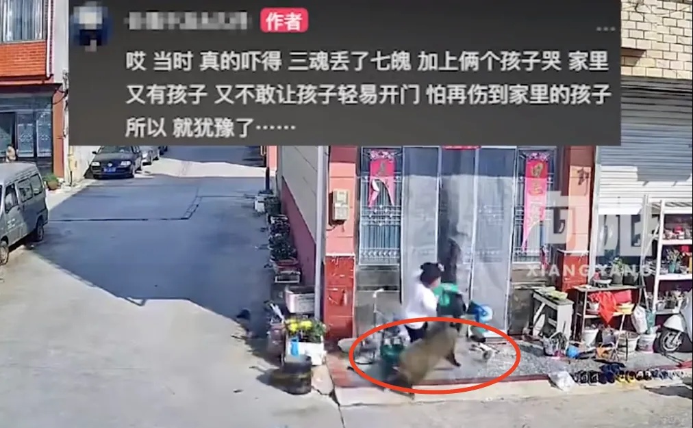 上海郊区野猪攻击人？最新：已被特警击毙，事发地并非上海