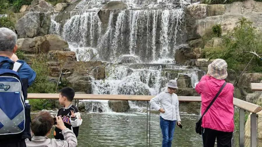 上海新晋顶流开放一个多月，门票根本抢不到？黄牛：包进