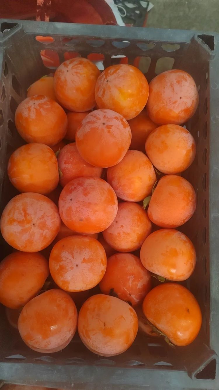 一周卖出200多吨！低至3元/斤！不少余杭人爱吃，正大量上市！但要警惕……