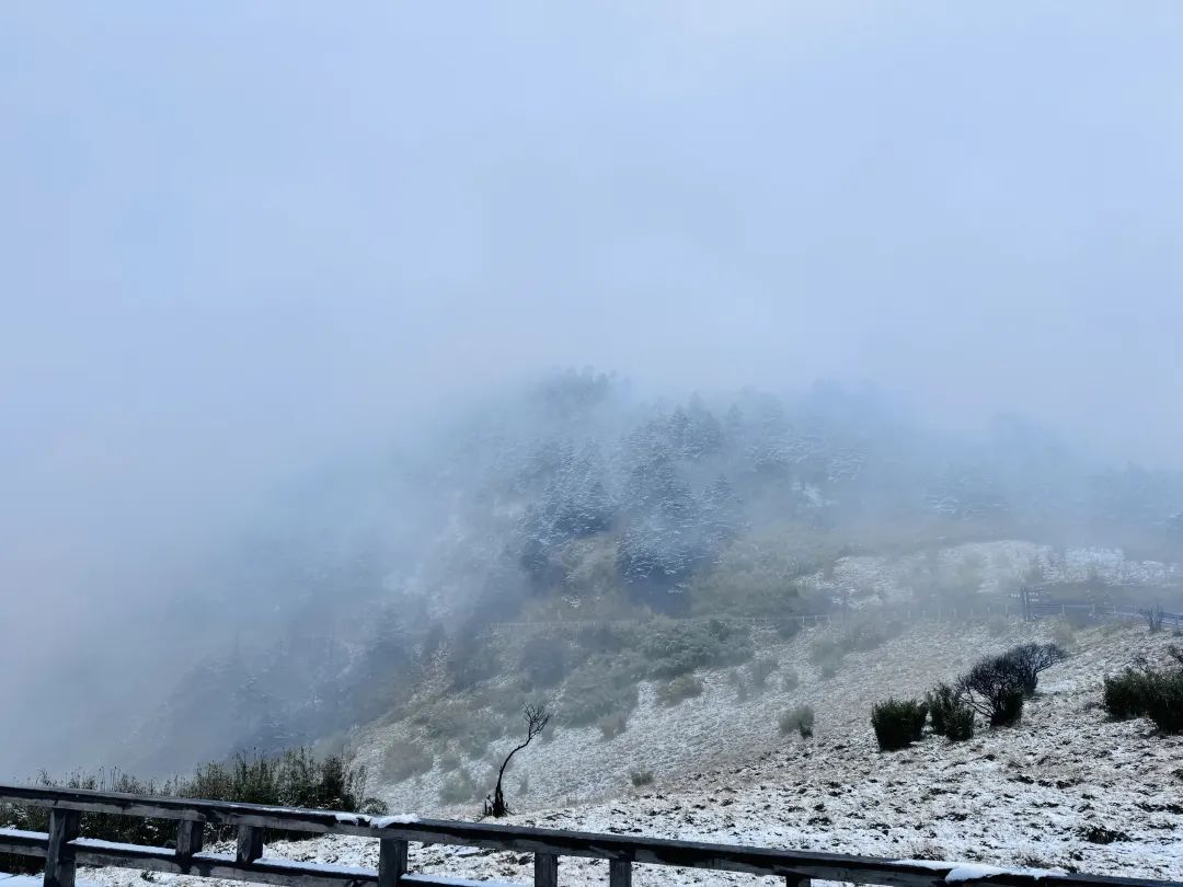 跌破10℃！今天开始影响浙江！新台风“银杏”已生成……