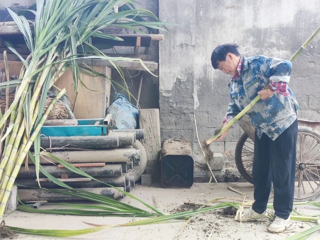 7元一大根!上市就被抢光!杭州人边吃边炫:我的童年回来了 7元一大根!上市就被抢光!杭州人边吃边炫:我的童年回来了