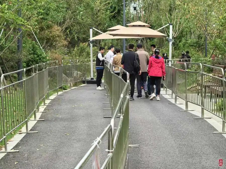 上海新晋顶流开放一个多月，门票根本抢不到？黄牛：包进