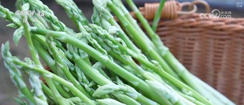 菜根、菜叶、果皮……身价“涨”！变废为宝“闯”出大市场