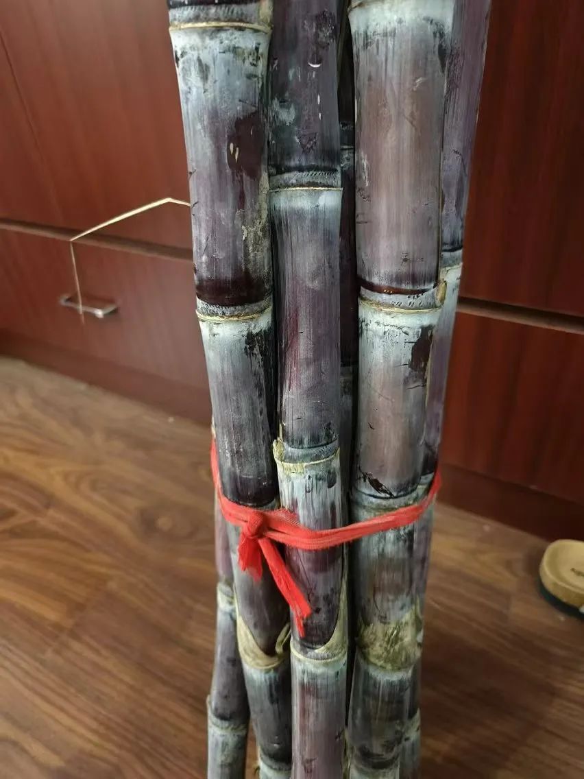 7元一大根!上市就被抢光!杭州人边吃边炫:我的童年回来了 7元一大根!上市就被抢光!杭州人边吃边炫:我的童年回来了