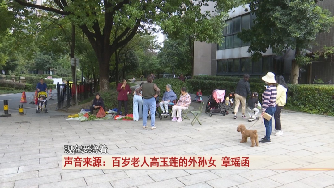 111岁!她是合肥市最年长的百岁老人 111岁!她是合肥市最年长的百岁老人