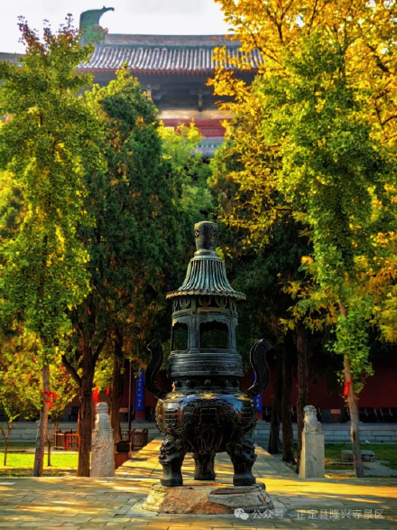 叶黄成“瀑”！当古寺遇上秋色，惊艳了时光