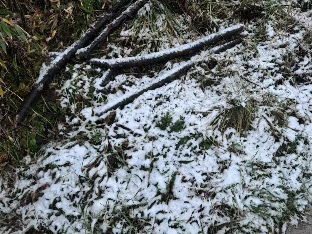 刚刚,安徽邻省下雪了! 刚刚,安徽邻省下雪了!