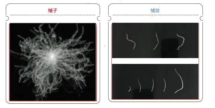 新买的羽绒服是不是存货，看这4个字→