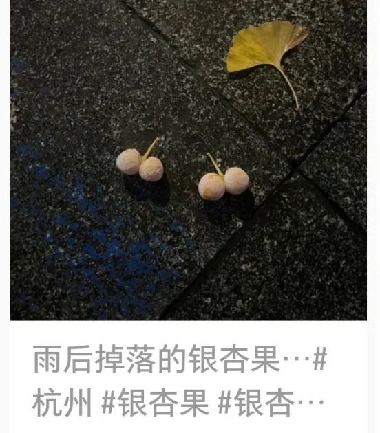 街头正大量出现！这种果子别乱捡，别生吃