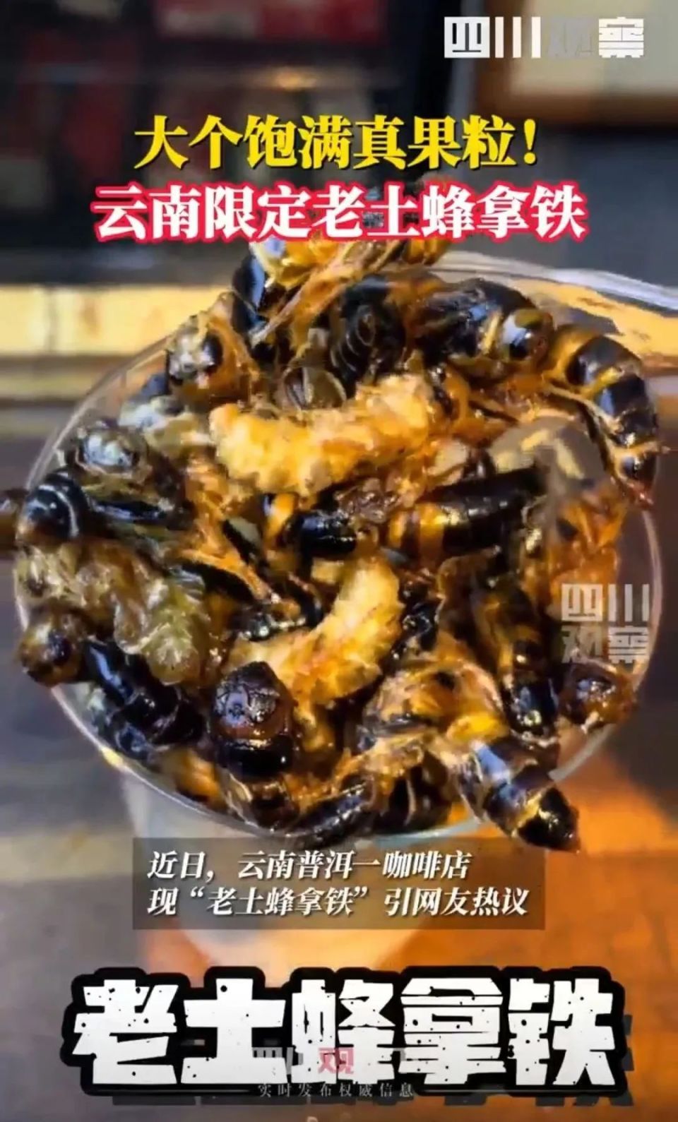 云南限定!一咖啡店推出“油炸老土蜂拿铁”,网友:越来越抽象了 云南限定!一咖啡店推出“油炸老土蜂拿铁”,网友:越来越抽象了