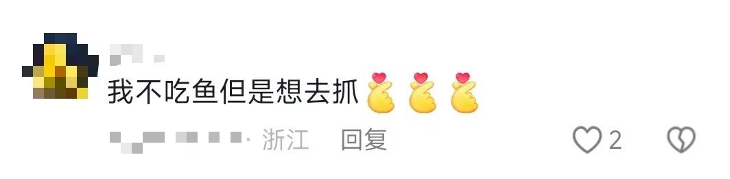 抓！鱼！啦！！网友：生气了，让我们学校自己猜……