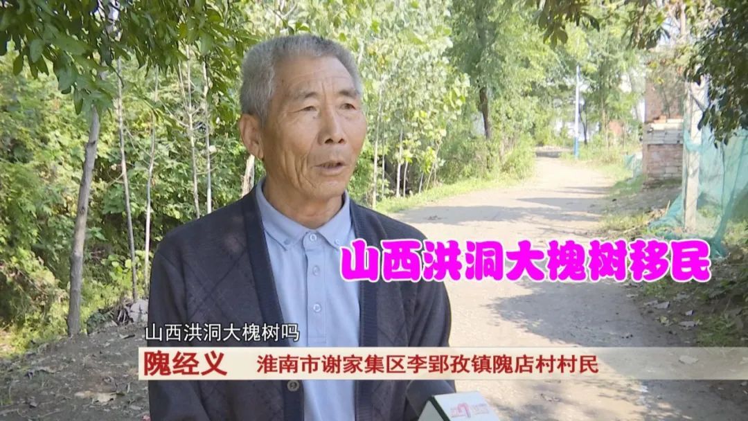 安徽这个姓你听过吗？很难读对！古老姓氏出义士！料理岳飞身后事