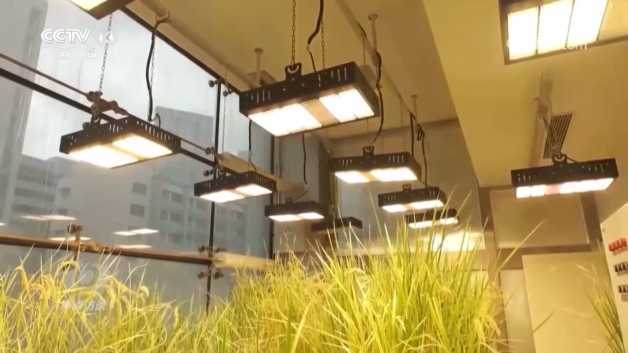 焦点访谈:接续逐梦 屡创纪录 焦点访谈:接续逐梦 屡创纪录