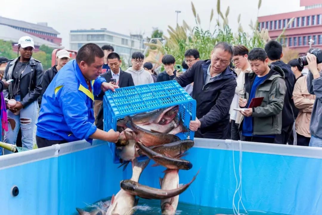 抓！鱼！啦！！网友：生气了，让我们学校自己猜……