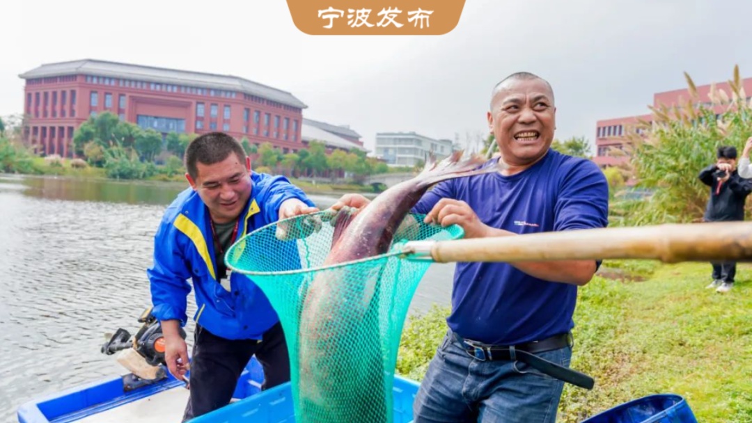 抓！鱼！啦！！网友：生气了，让我们学校自己猜……