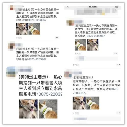 主人！你再不来接我的话 我可真的要“入编”了