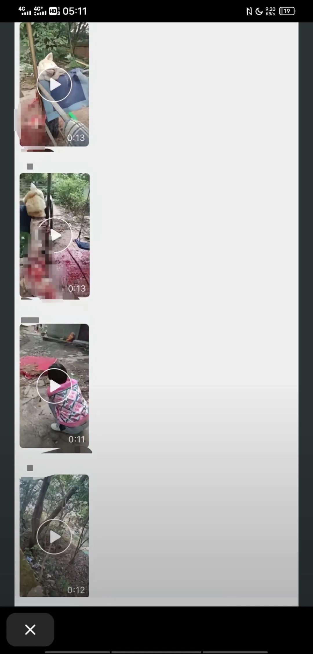 “狗被杀害剥皮”！3名男子闯动物救助基地杀狗伤人，安徽警方回应