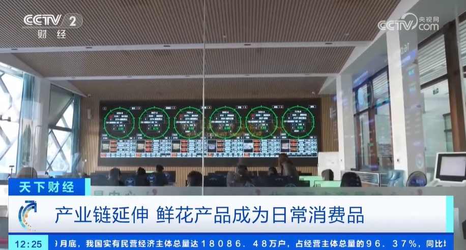 从礼品变为大众消费品 鲜花经济更接地气 花卉产业链正在促进消费升级 从礼品变为大众消费品 鲜花经济更接地气 花卉产业链正在促进消费升级