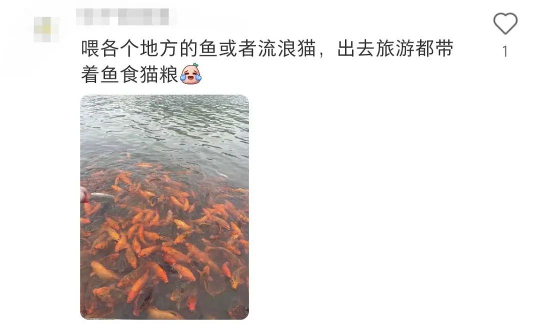 大学生已经在宿舍开始“养生”了？！