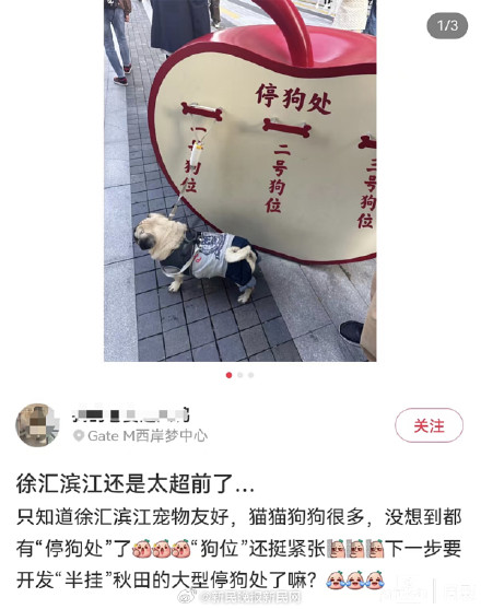 上海网红景点现停狗处，网友热议