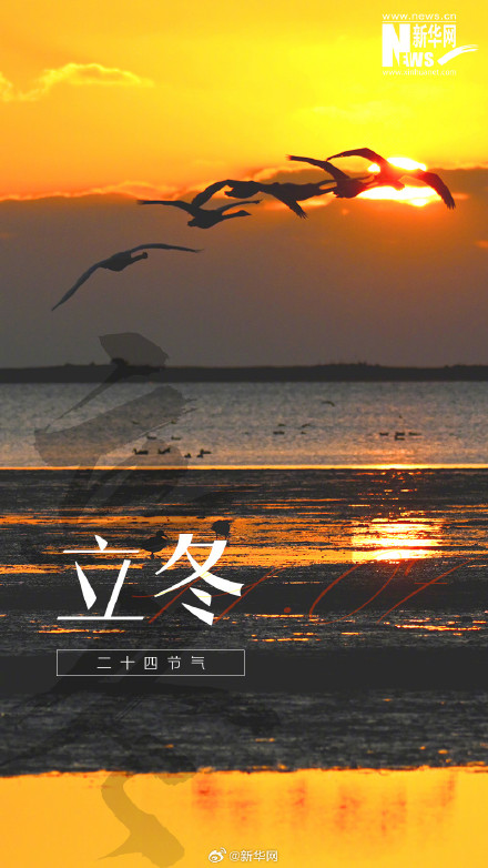 冬之伊始 万物收藏 冬之伊始 万物收藏