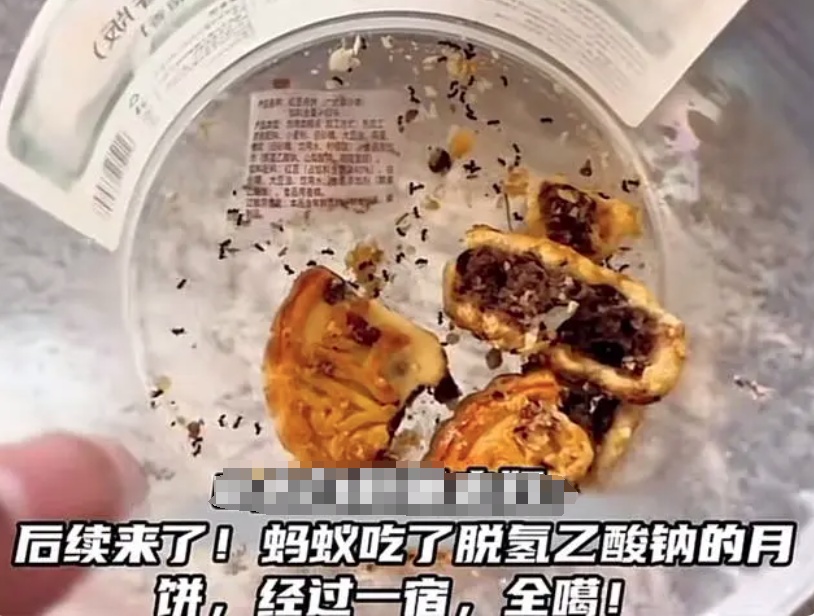 这种防腐剂将被禁用？真相来了