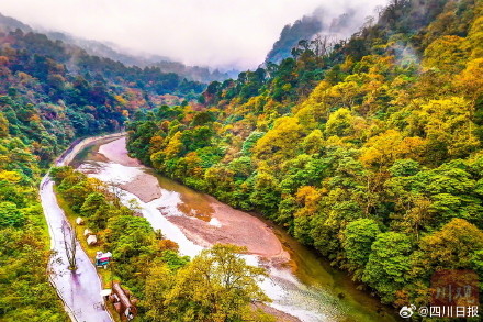 雅安龙苍沟彩林美得像画报 雅安龙苍沟彩林美得像画报