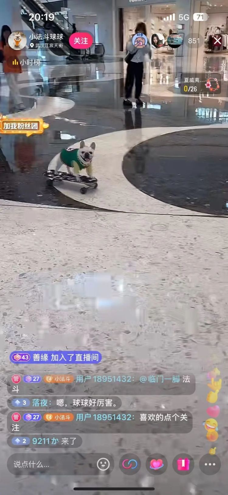 法斗犬玩滑板走红,主人:不会刻意打造“狗设” 法斗犬玩滑板走红,主人:不会刻意打造“狗设”