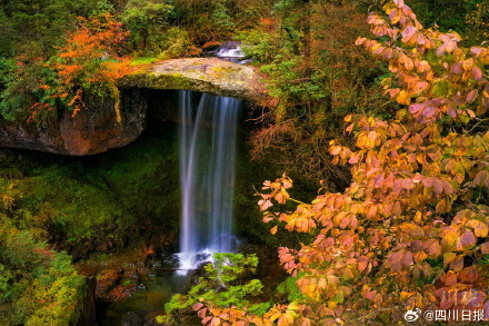 雅安龙苍沟彩林美得像画报 雅安龙苍沟彩林美得像画报
