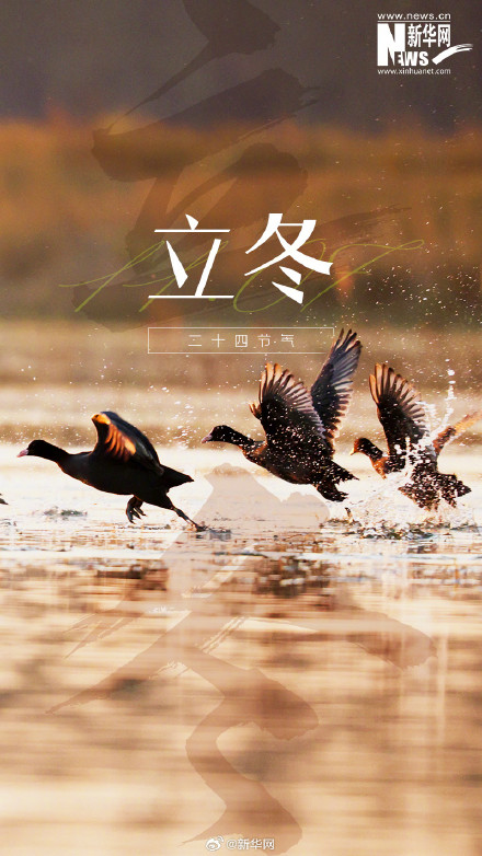 冬之伊始 万物收藏 冬之伊始 万物收藏