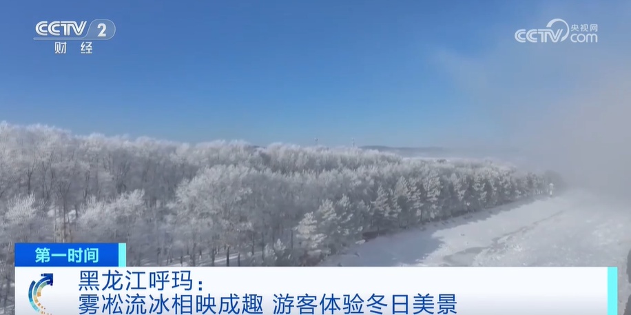 黑龙江呼玛现雾凇美景 雾凇与流冰相映成趣 游客体验冬日美景