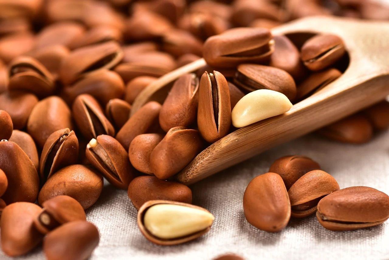 今日立冬，做好“五防”“三藏”让你少生病！