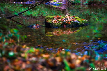 雅安龙苍沟彩林美得像画报 雅安龙苍沟彩林美得像画报